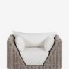 Eugenie Indoor / Outdoor Accent Chair