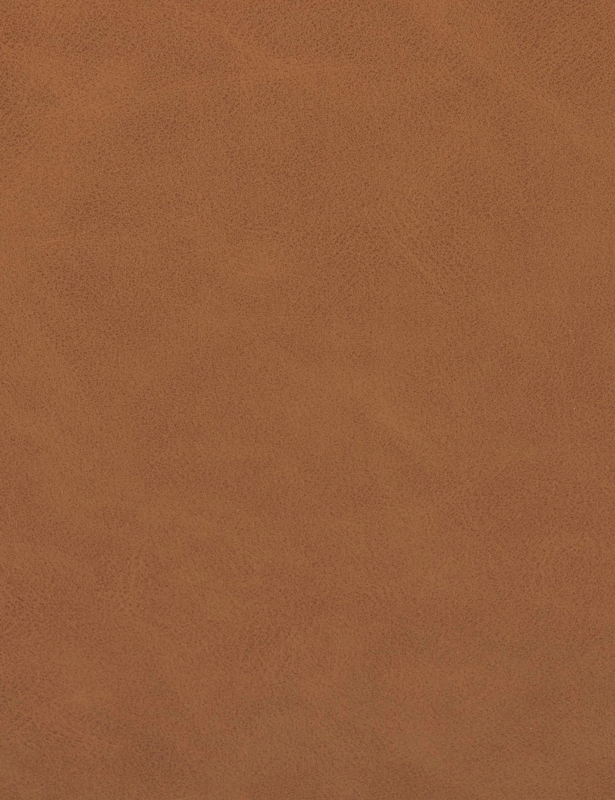 Marla Dining Chair - Image 11