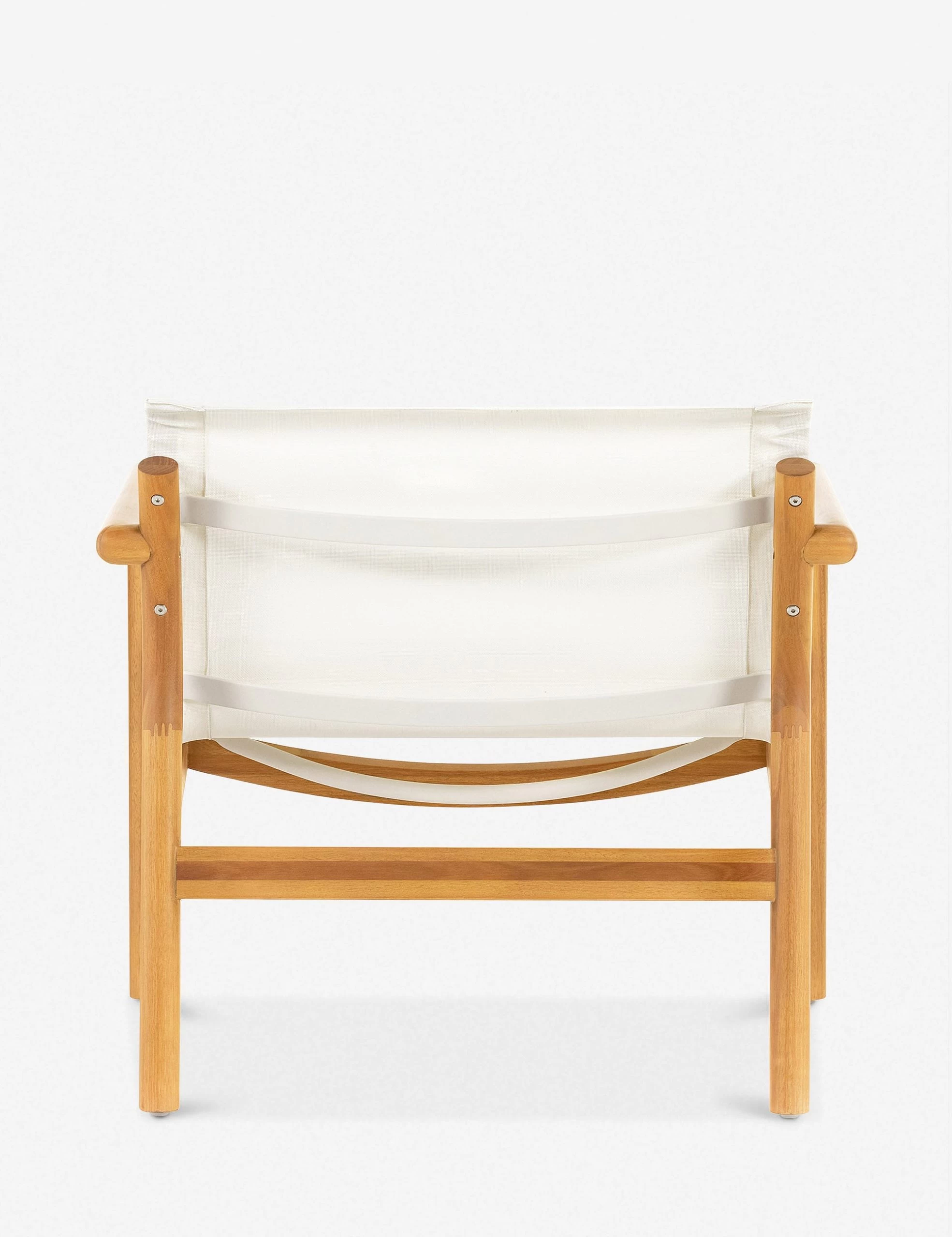 Charise Indoor / Outdoor Accent Chair - Image 4