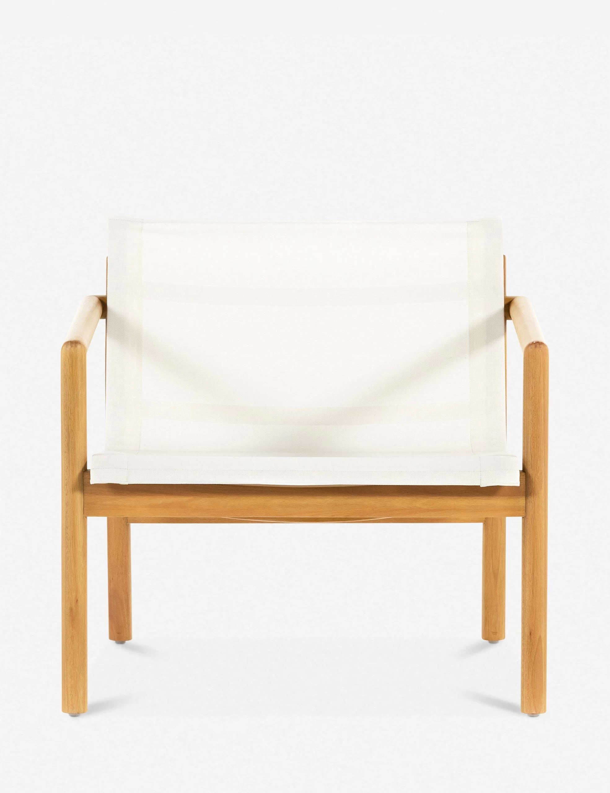 Charise Indoor / Outdoor Accent Chair