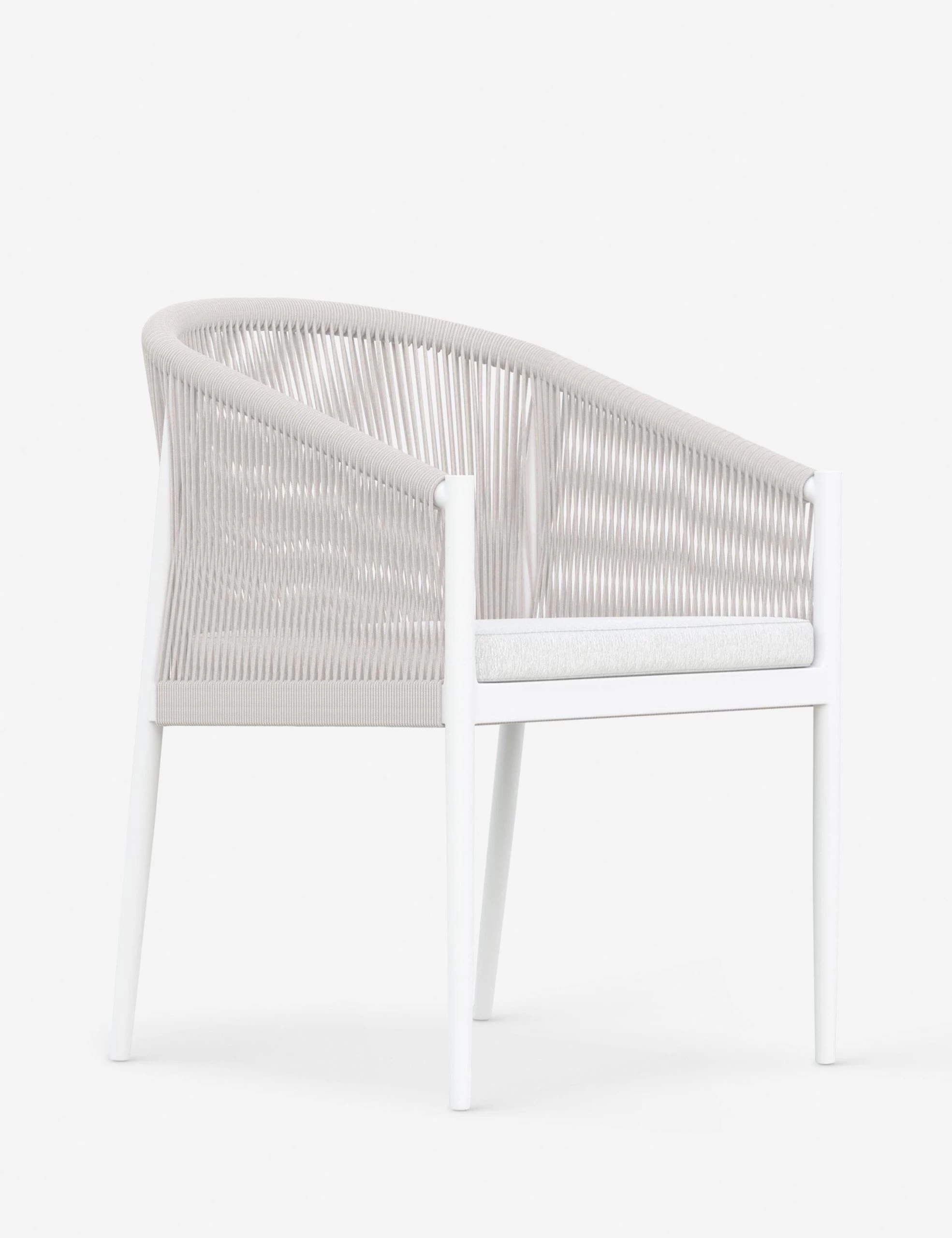 Esparza Indoor / Outdoor Dining Arm Chair - Image 2