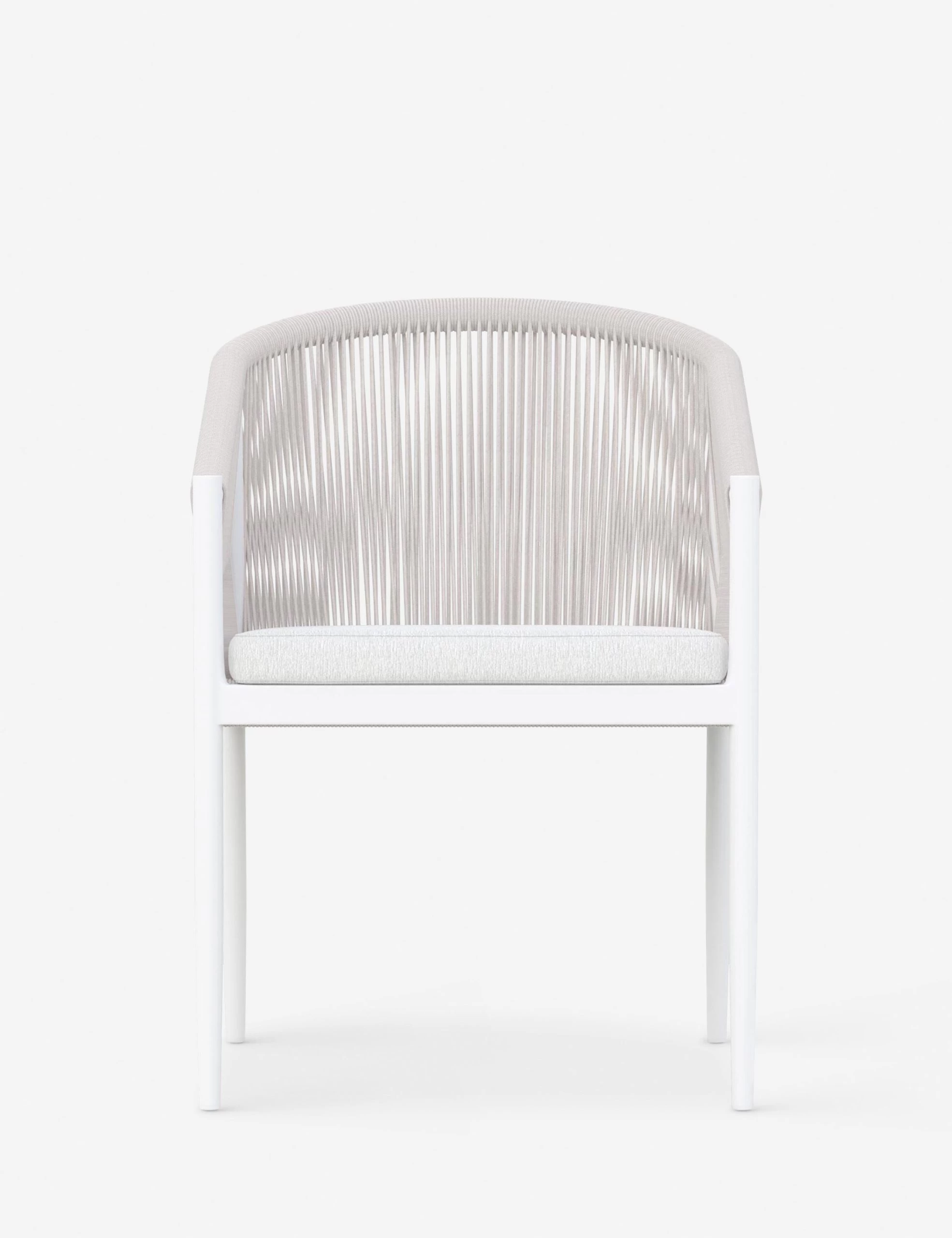 Esparza Indoor / Outdoor Dining Arm Chair