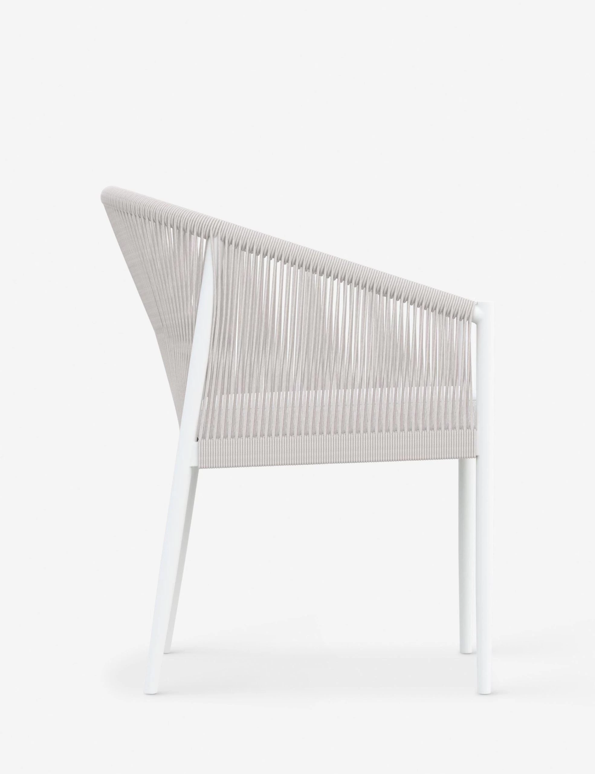Esparza Indoor / Outdoor Dining Arm Chair - Image 3
