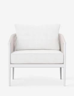Esparza Indoor / Outdoor Accent Chair