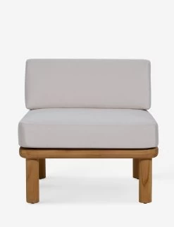 Ryann Indoor / Outdoor Accent Chair