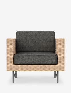 Wilde Indoor / Outdoor Accent Chair