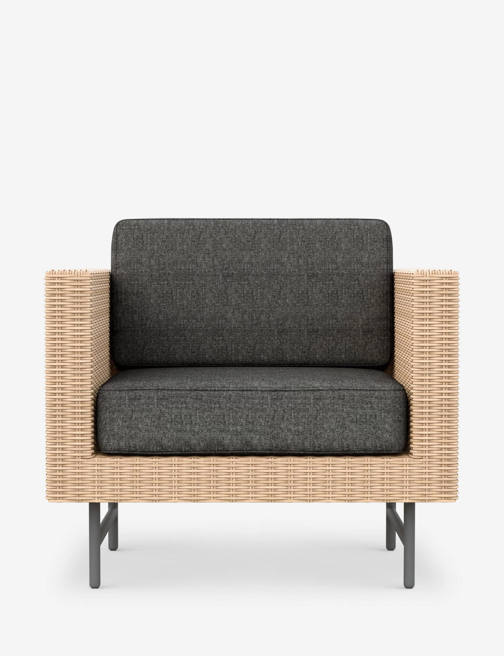 Wilde Indoor / Outdoor Accent Chair