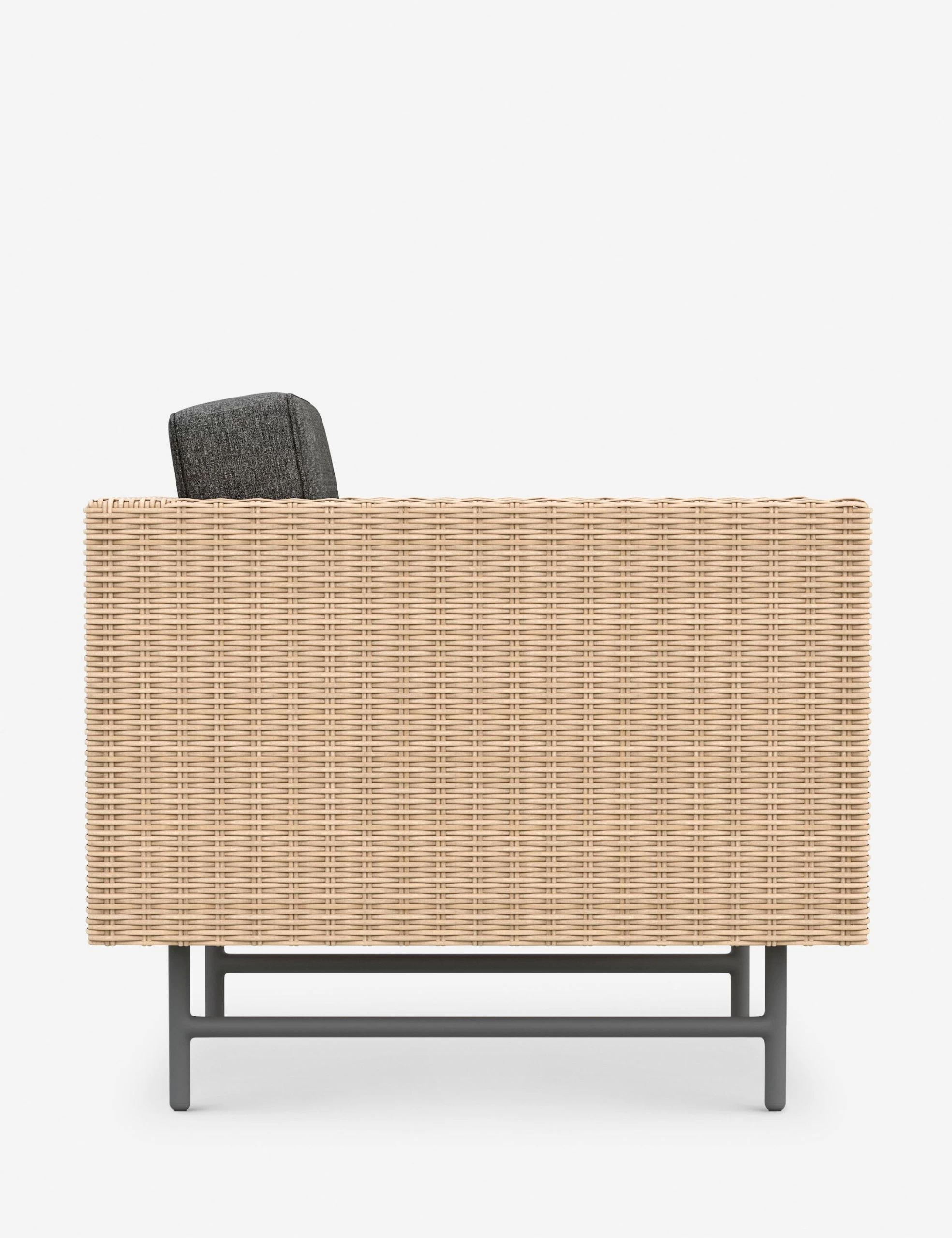 Wilde Indoor / Outdoor Accent Chair - Image 3