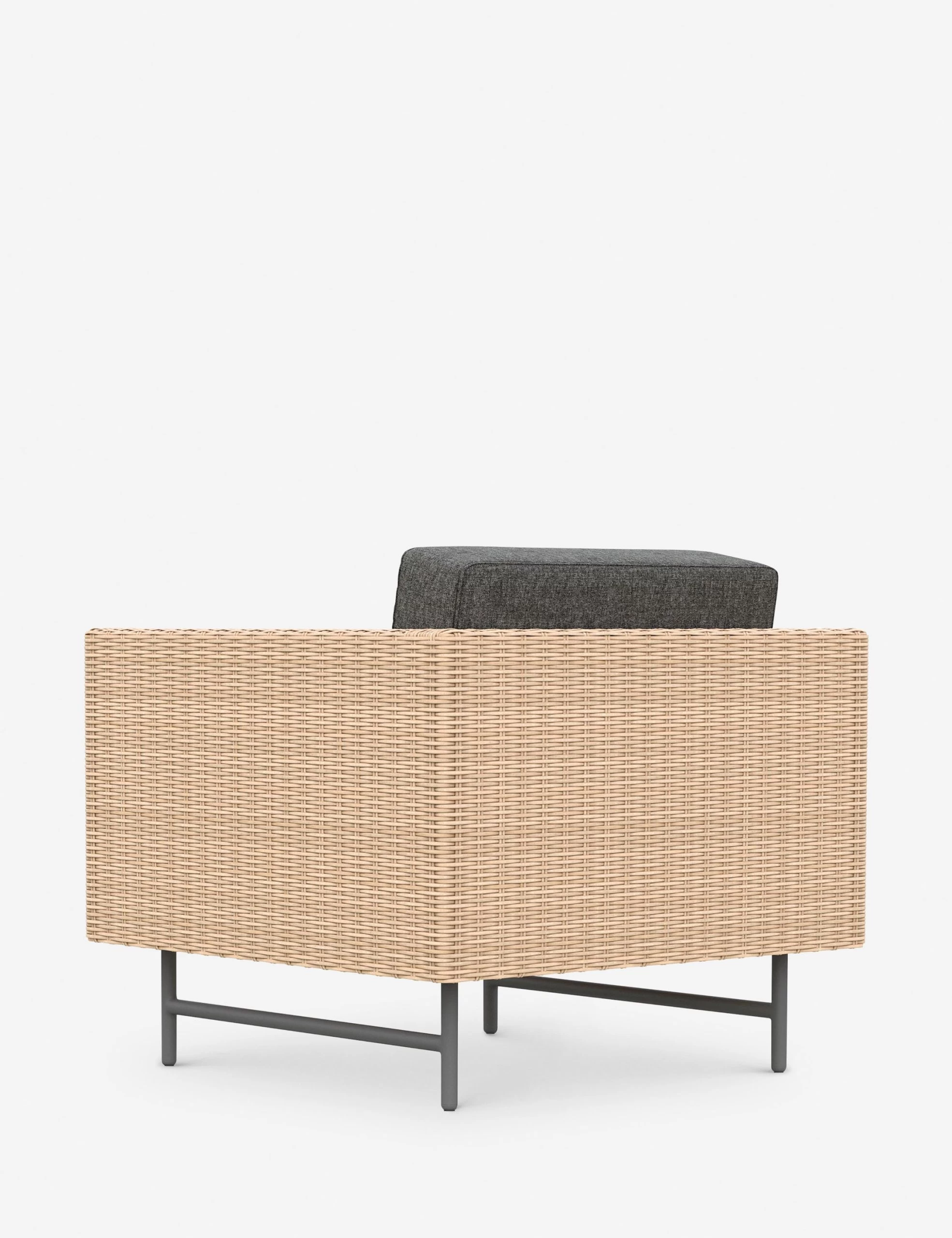 Wilde Indoor / Outdoor Accent Chair - Image 4