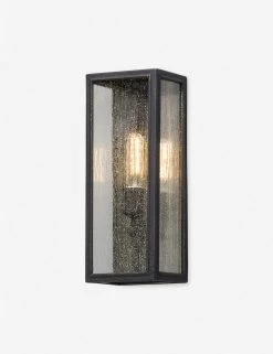 Filomena Indoor/Outdoor Sconce