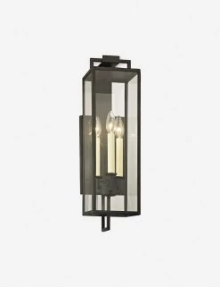 Judy Indoor/Outdoor Sconce