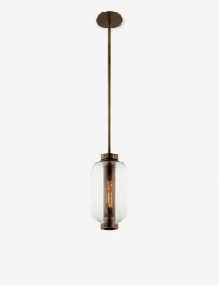 Romelia Indoor / Outdoor Pendant Light