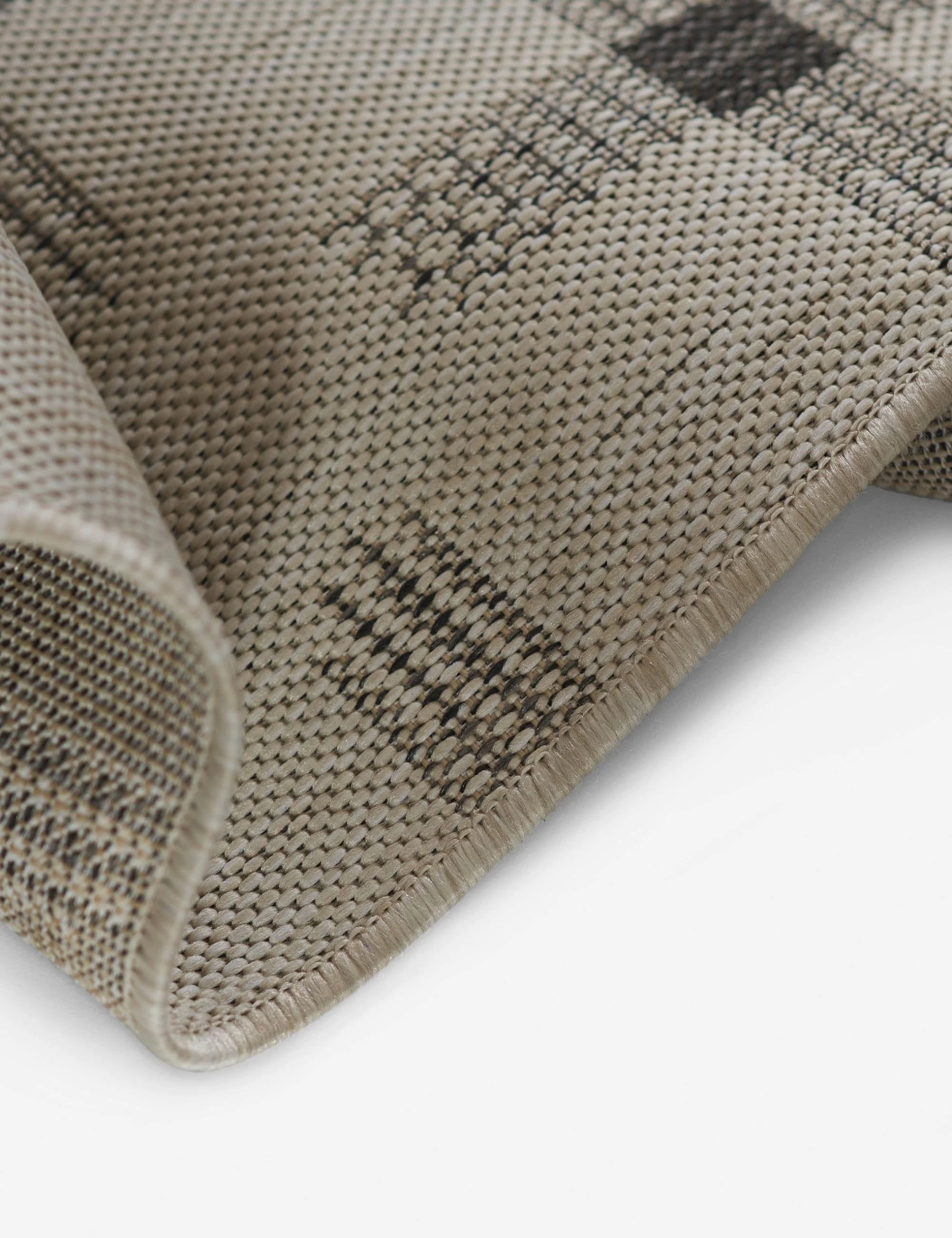 Navila Indoor / Outdoor Rug - Image 4