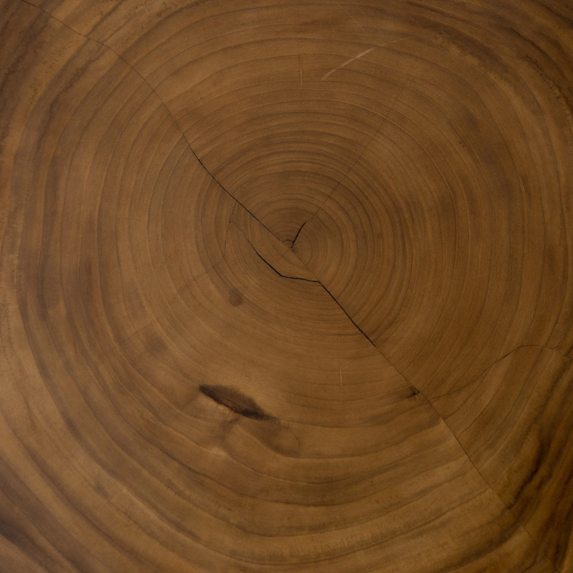 Dija Round Coffee Table - Image 6